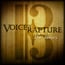 Soundiron Voice of Rapture: The Tenor Solo Male Tenor Operatic Vocal Library For Kontakt [Virtual] Image 1